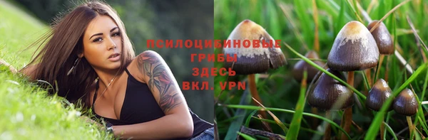 прущая мука Михайлов
