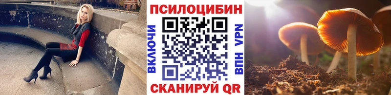 Купить где  Чита  Галлюциногенные грибы MAGIC MUSHROOMS 